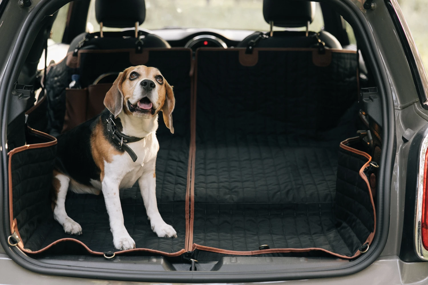 pet seat cover for Subaru Outback