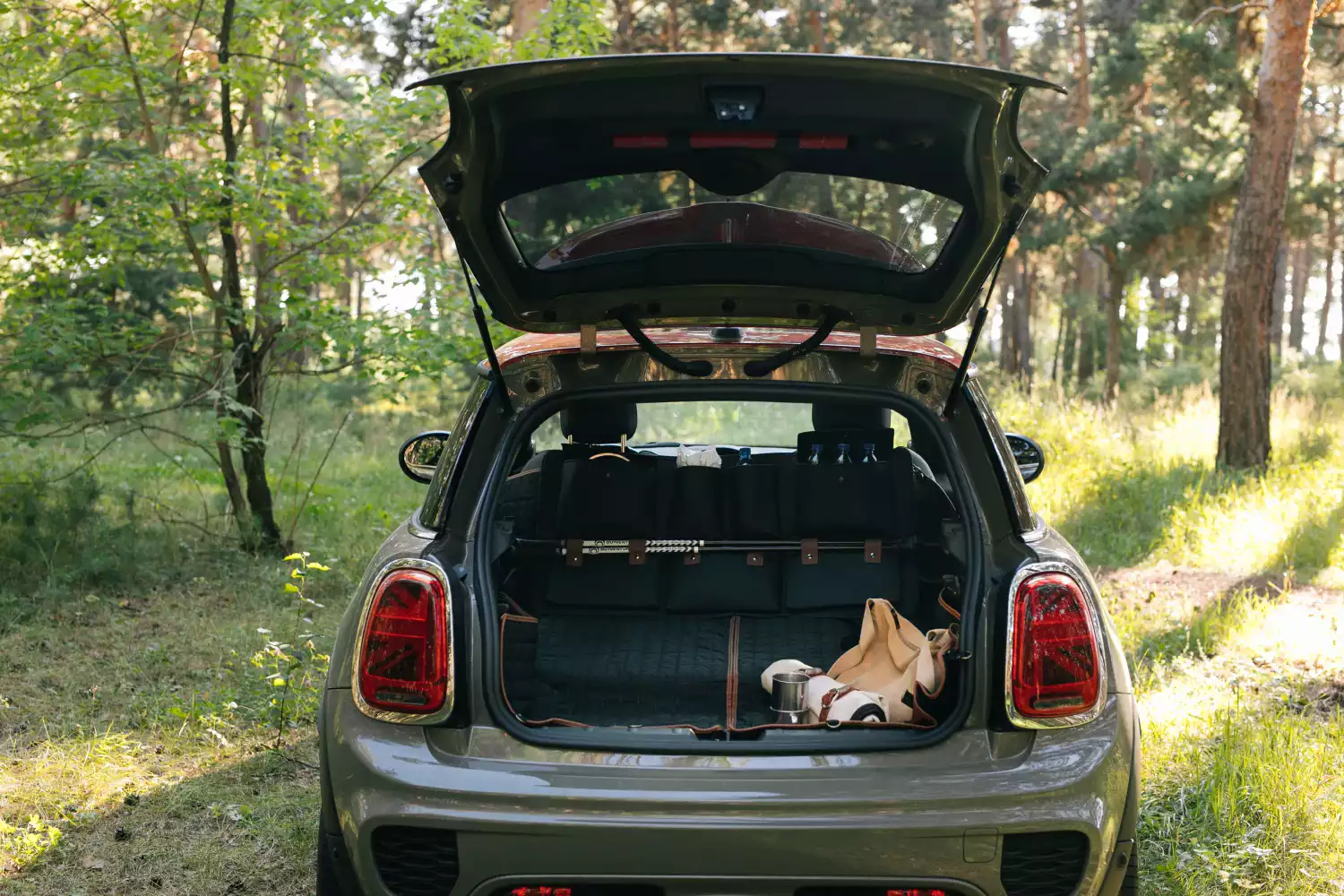 dog back seat cover for Buick Encore