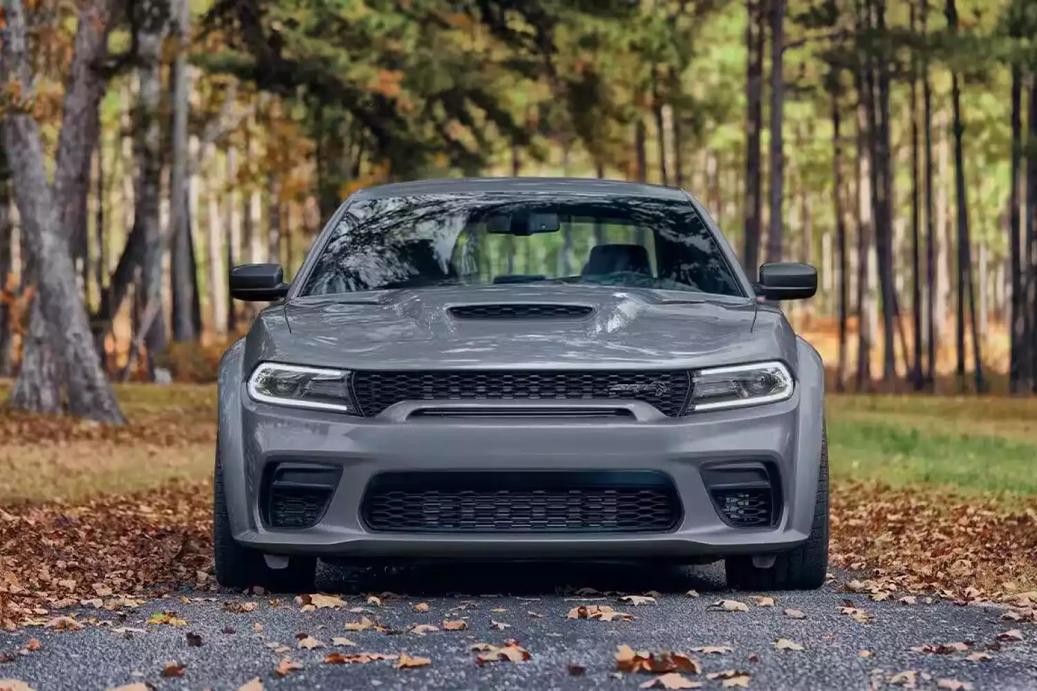 car garbage can for Dodge Charger