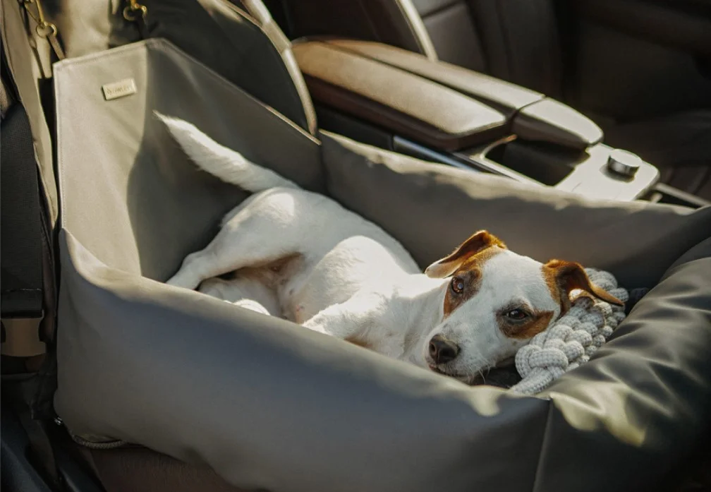 Audi A4 Dog Car Seat for Cocker Spaniels