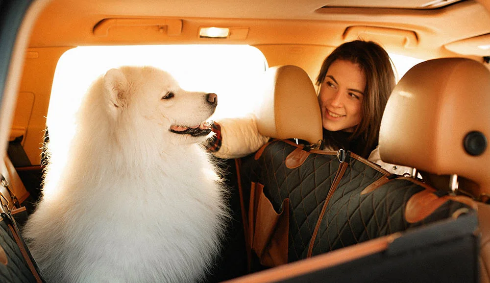 dog back seat cover for Buick Encore