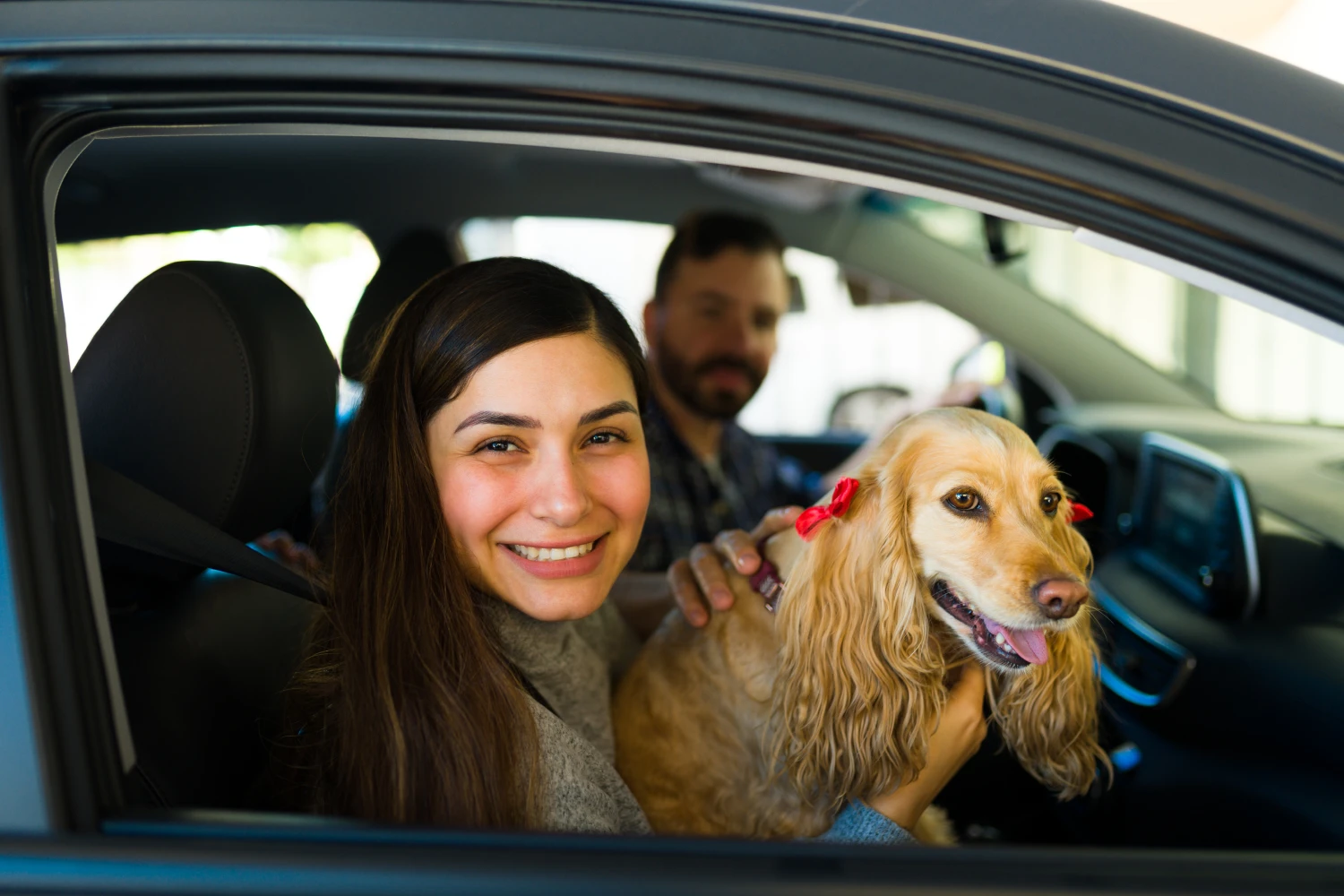 Audi A4 Dog Car Seat for Cocker Spaniels