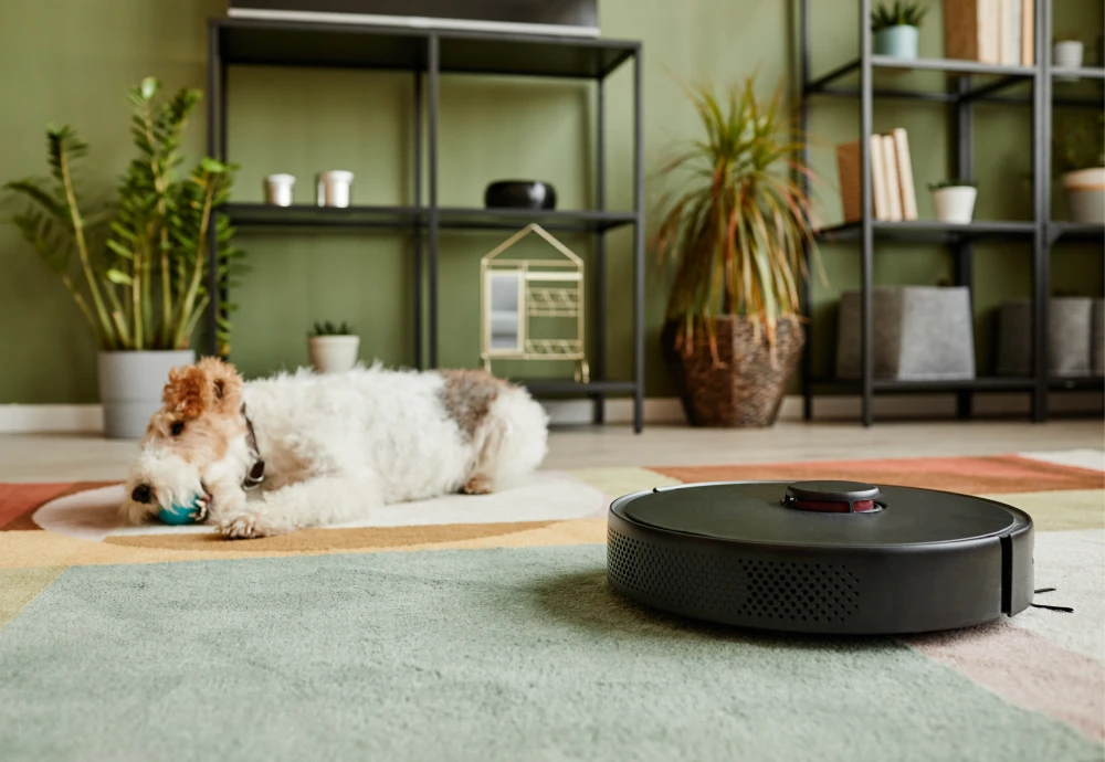 best robot vacuum for deep cleaning